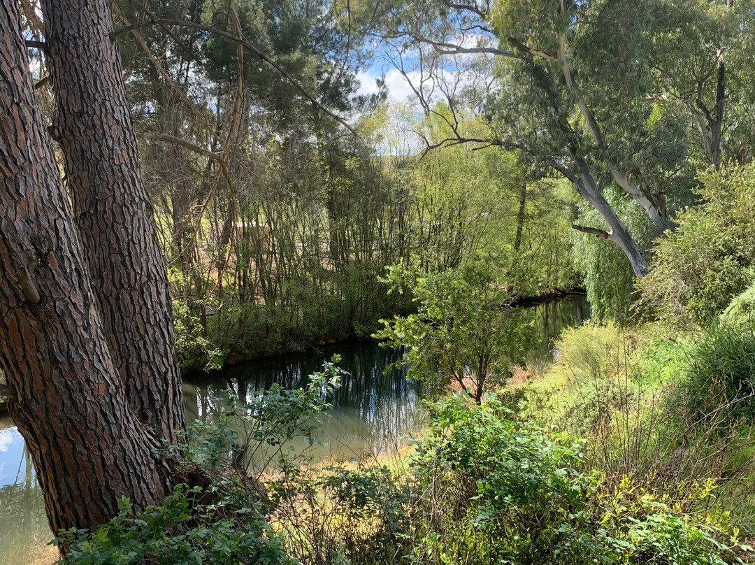 巴拉汽车酒店主图