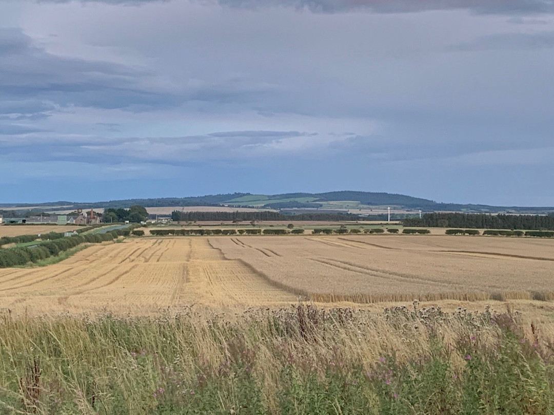 The Island View Inn主图