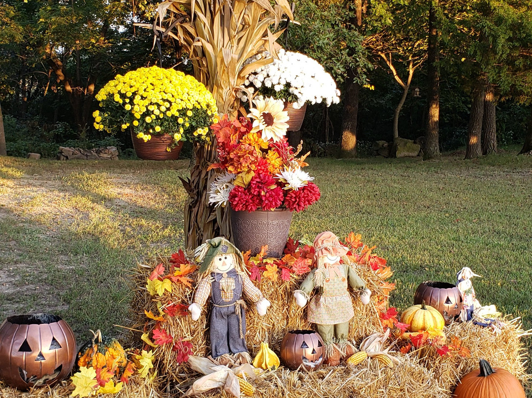 Omaha旅游攻略图片