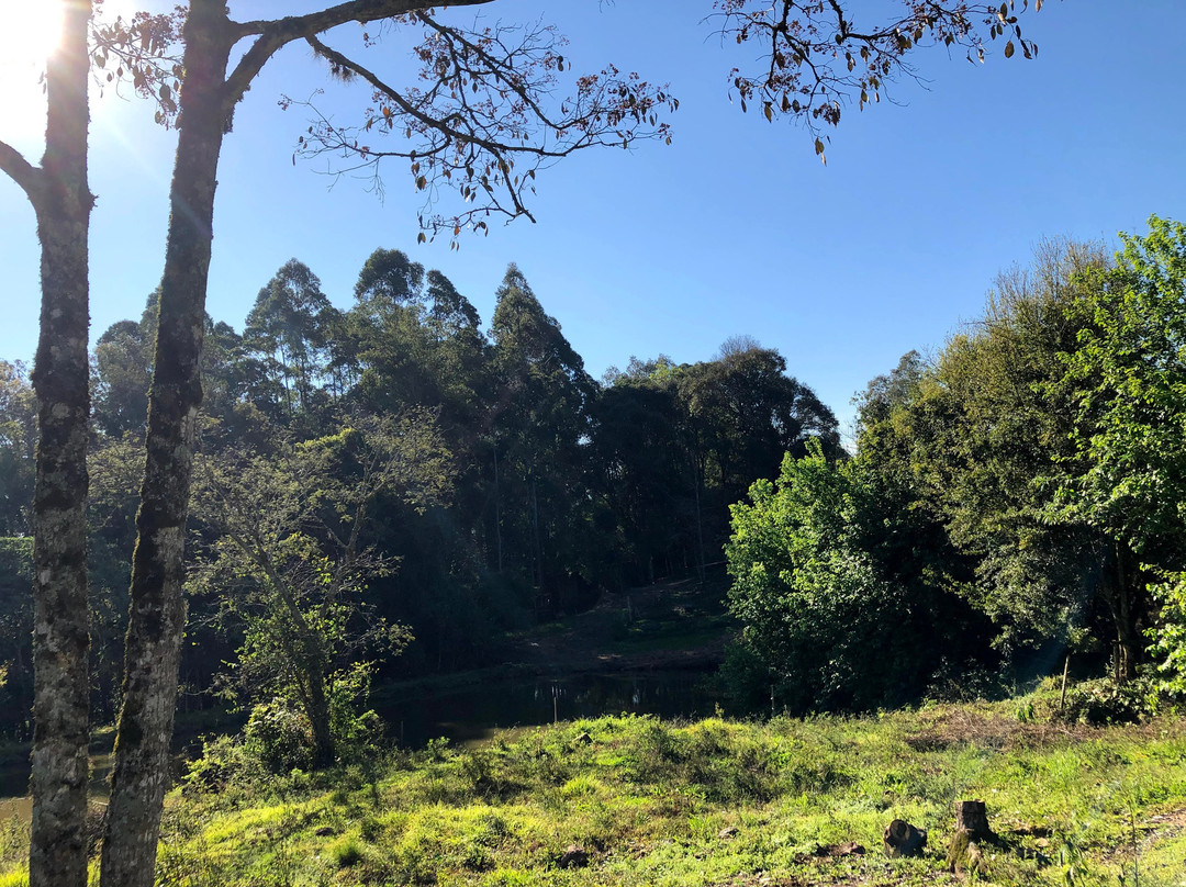 Vinhos Fae-Monte Belo do Sul必去景点