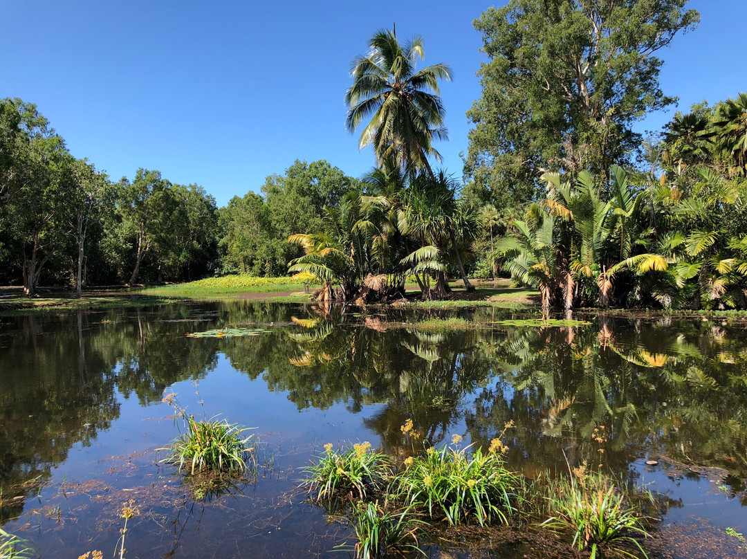 Centenary Lakes - Cairns Botanic Gardens景点图片