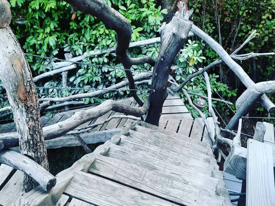 Le Pavillon Vert主图