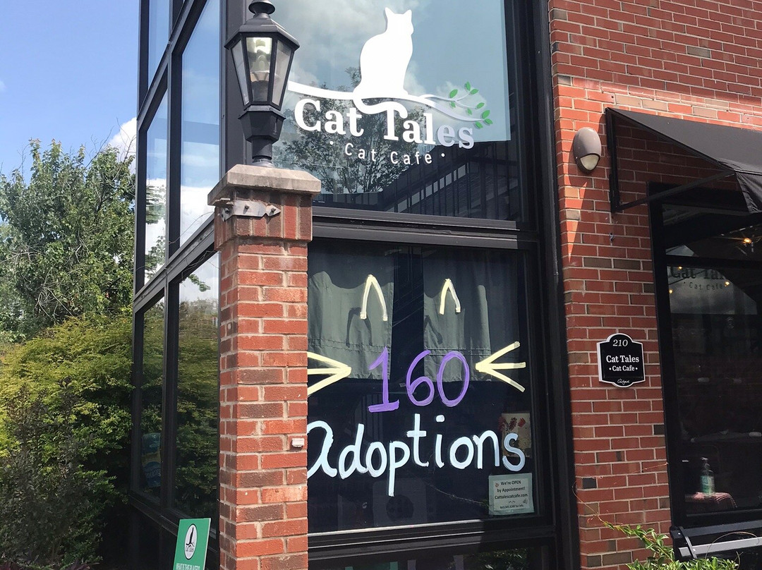 Cat Tales Cat Cafe-教堂山必去景点