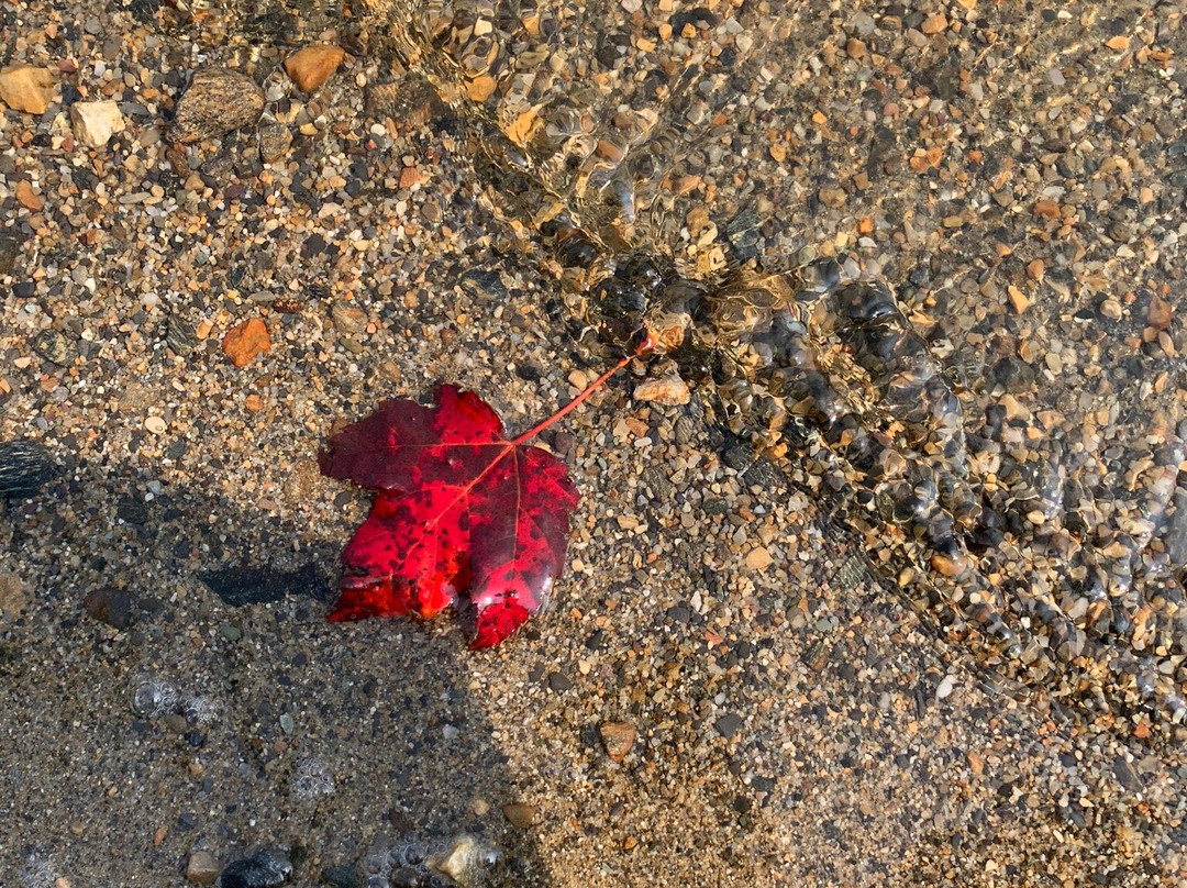 Woodford State Park-Woodford必去景点