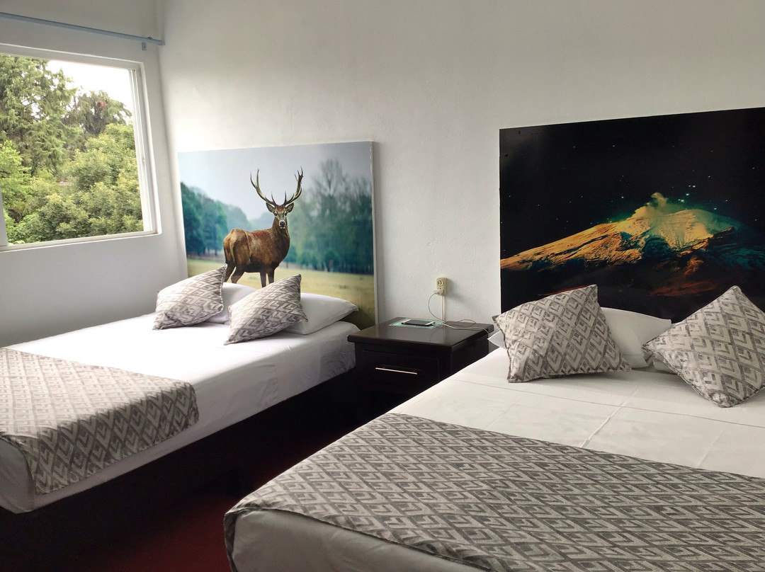 Hotel Maragreens主图