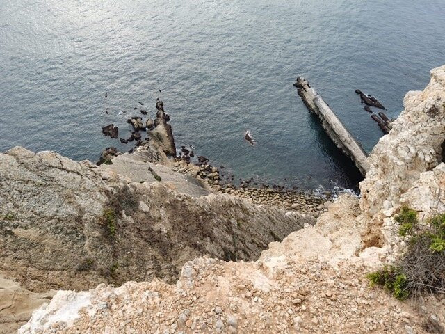 Old School Tours-Seixal必去景点