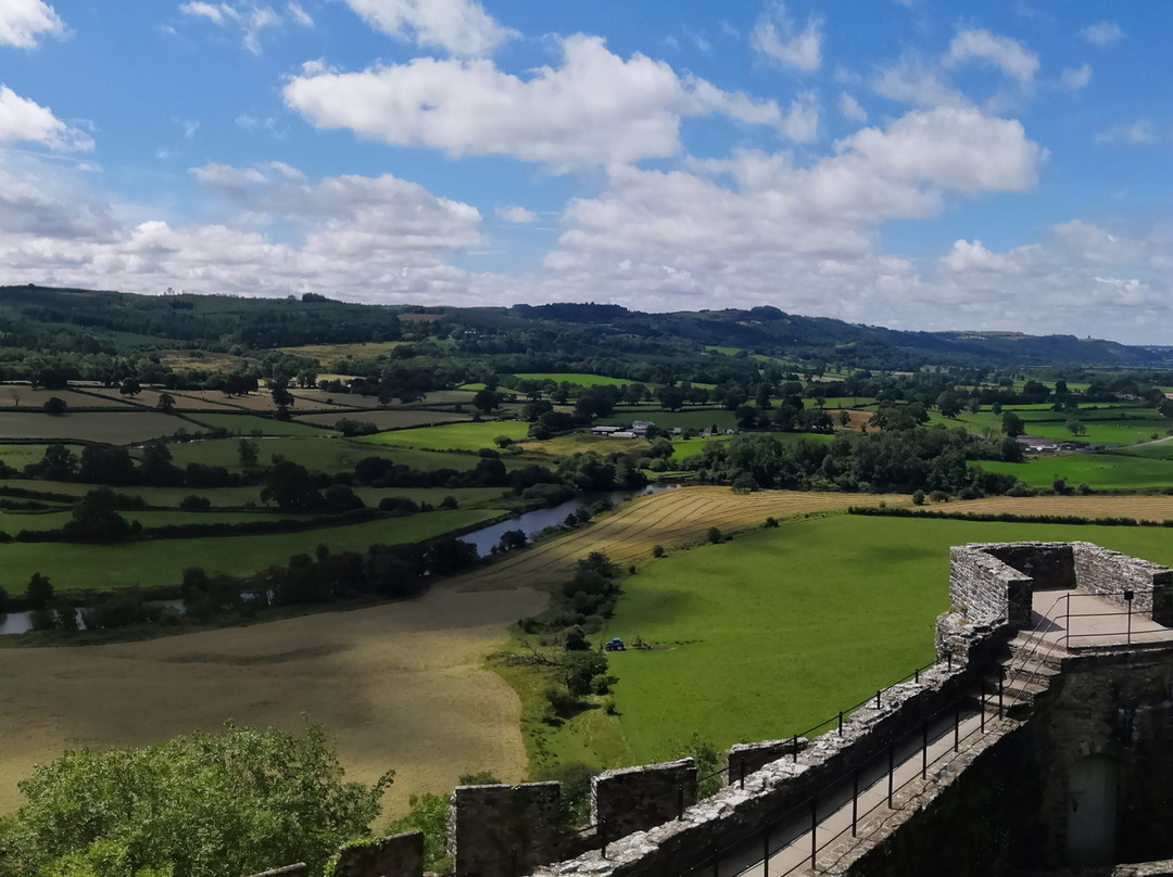 Dinefwr Castle景点图片