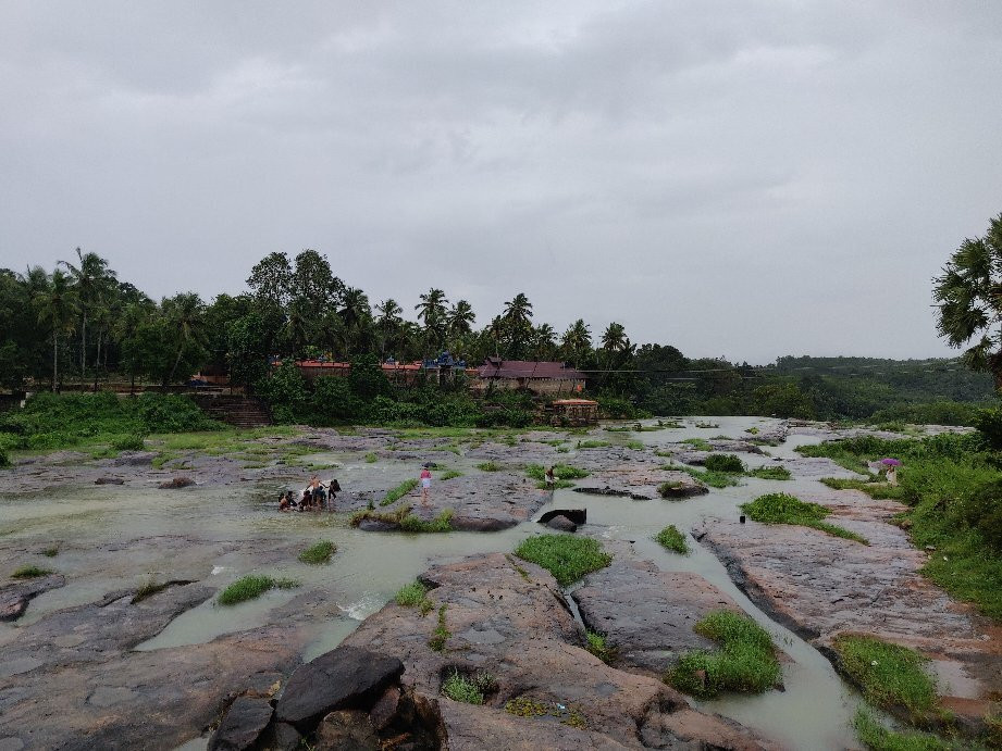 Thirparappu Waterfalls景点图片