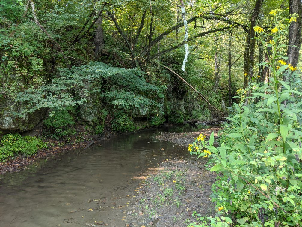 White Pines Forest State Park景点图片