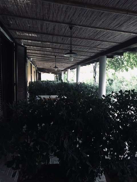 Podere L'Agave主图