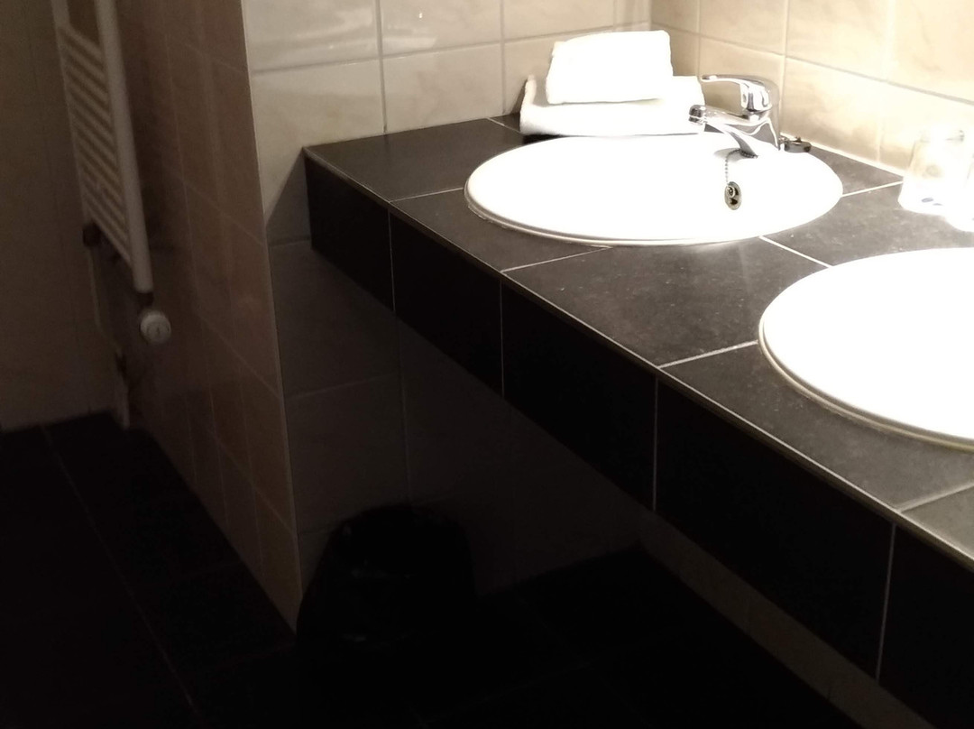 Fletcher Hotel-Restaurant Heiloo主图