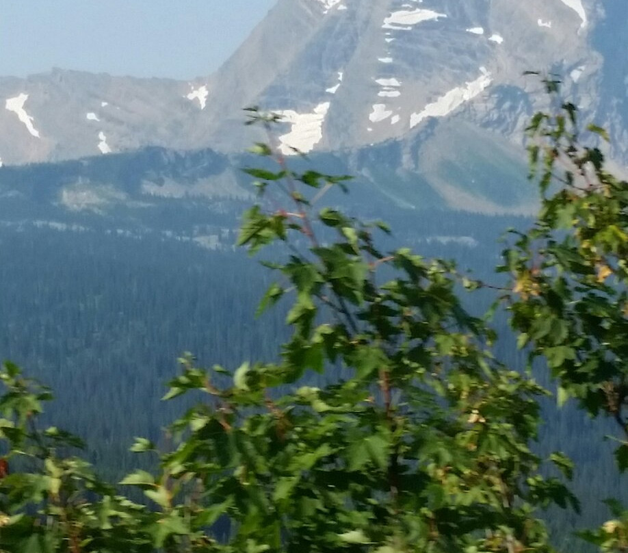 Best Western Plus Flathead Lake Inn And Suites主图