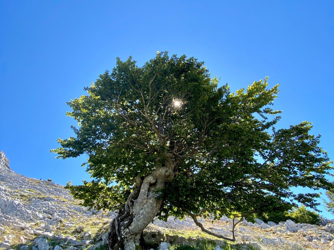 Aizkorri-Aratz Natural Park景点图片