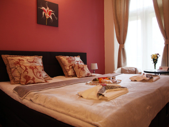 Penzion Alfa Podebrady主图