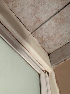 Lakeview Motel主图