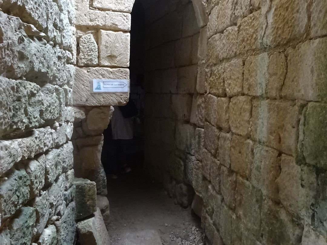 Chateau de Coudray-Salbart景点图片