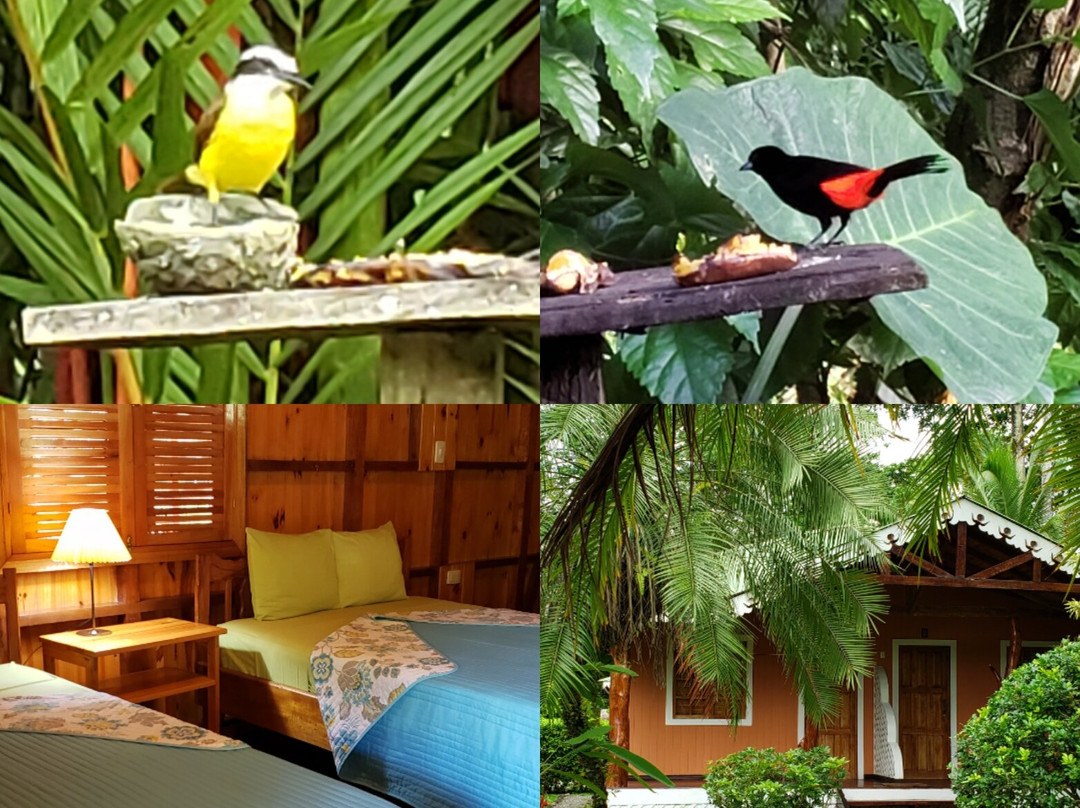 Ciudad Perdida Eco Lodge主图