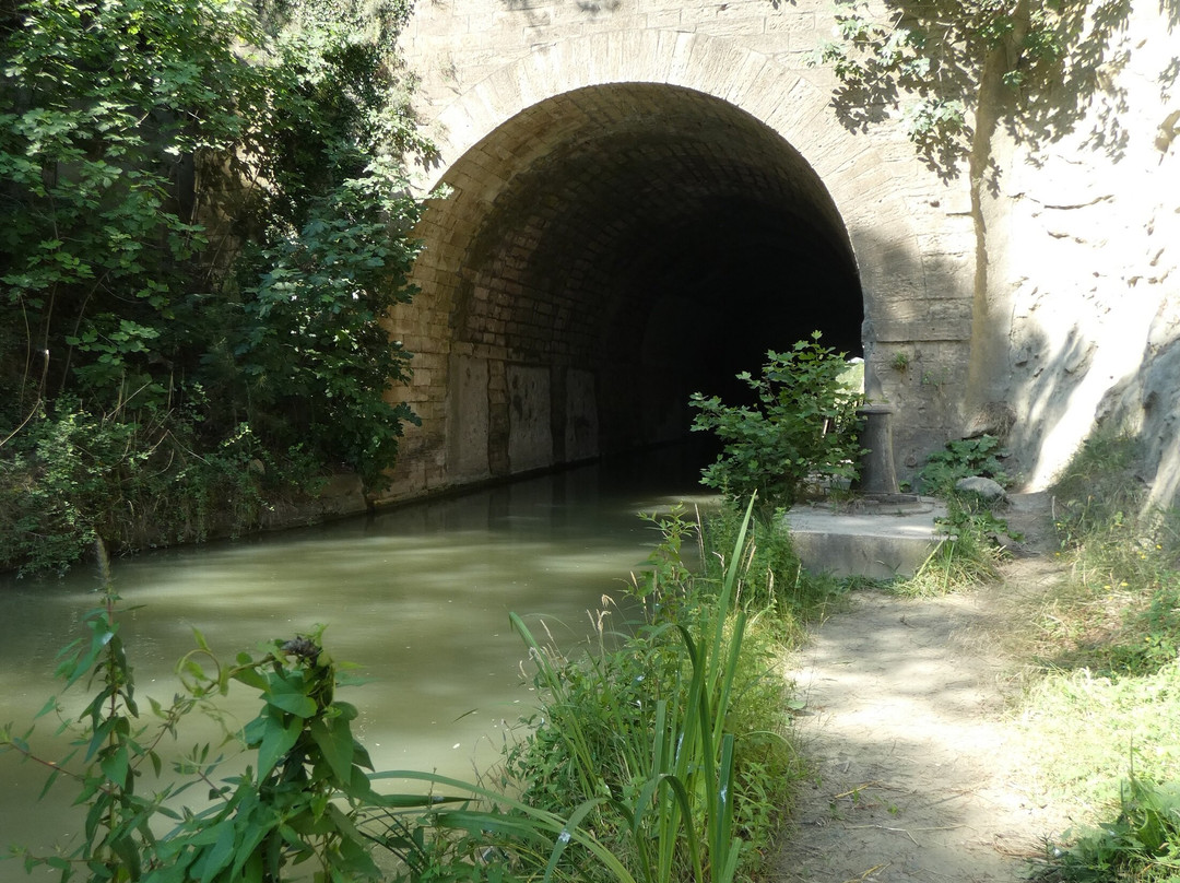 Malpas Tunnel景点图片