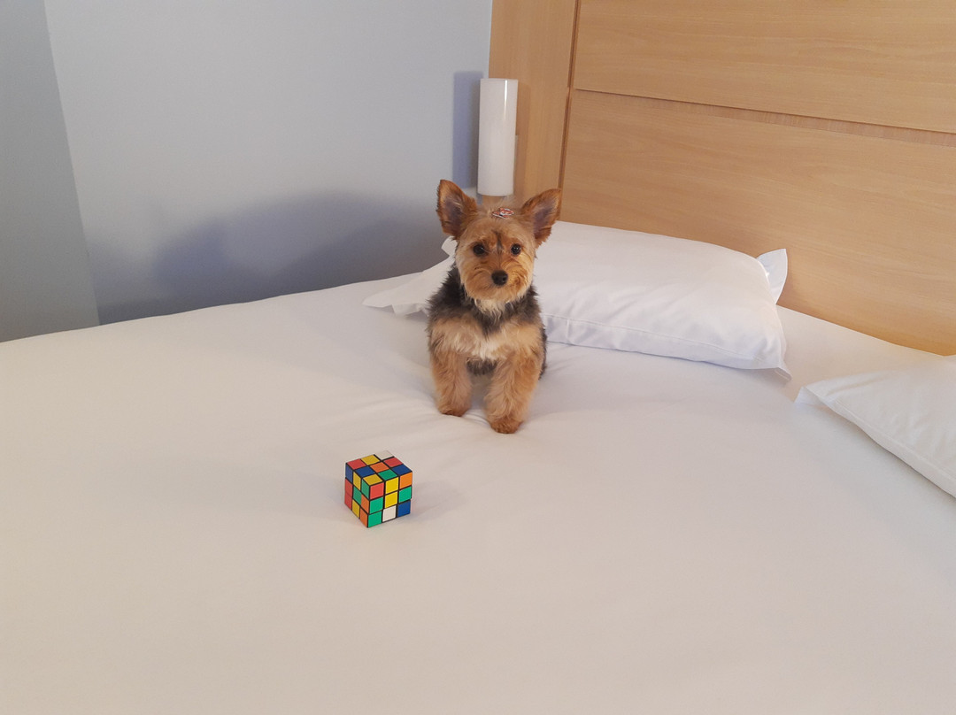 宜必思帕苏丰杜中心酒店主图