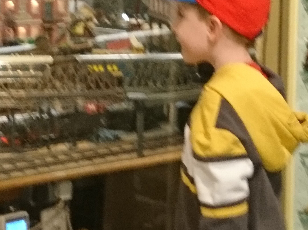 Brighton Toy and Model Museum景点图片