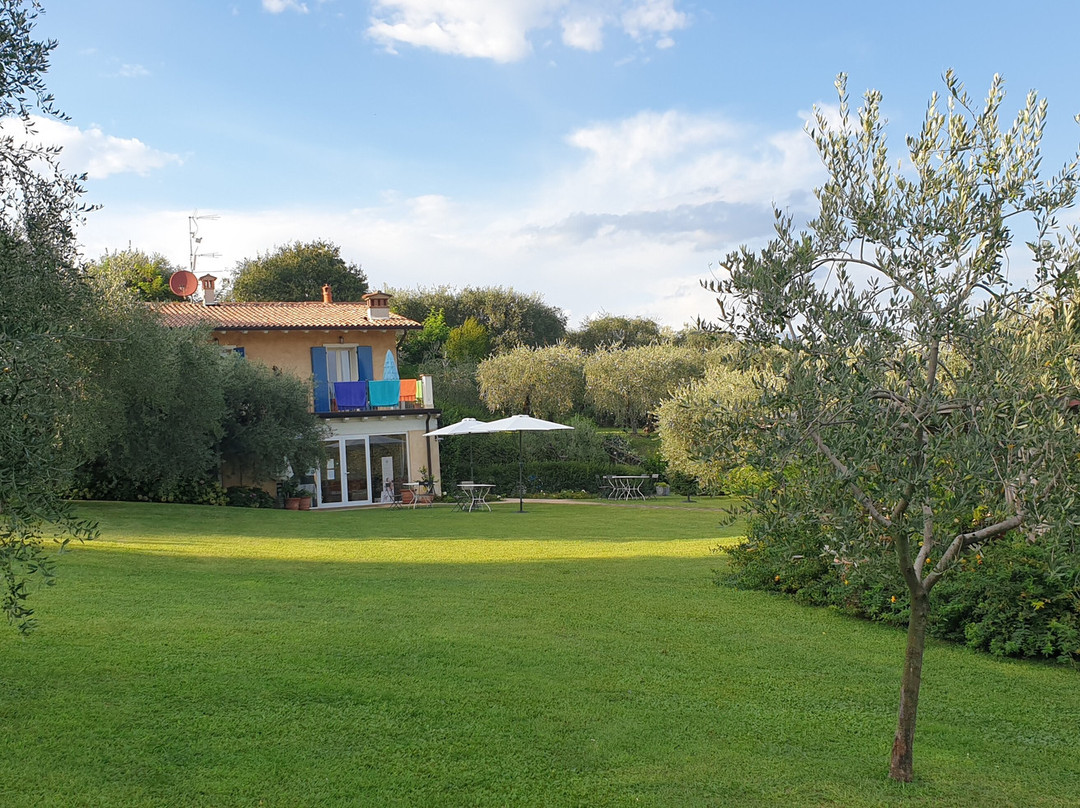 Agriturismo Il Cardo主图