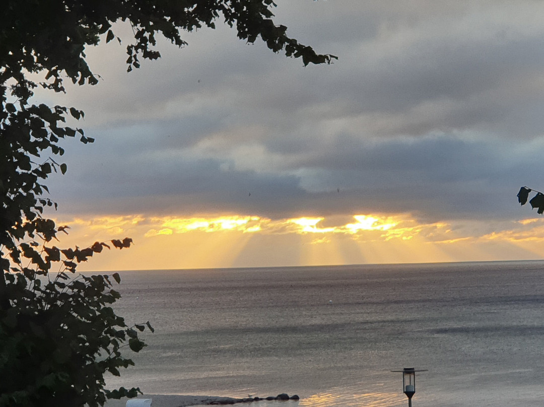 Hof Sierksdorf主图