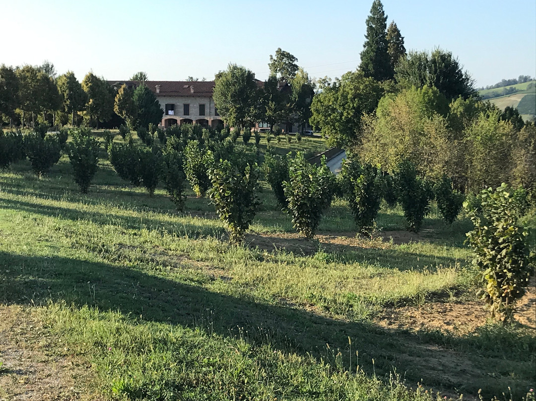 Tenuta Larenzania主图