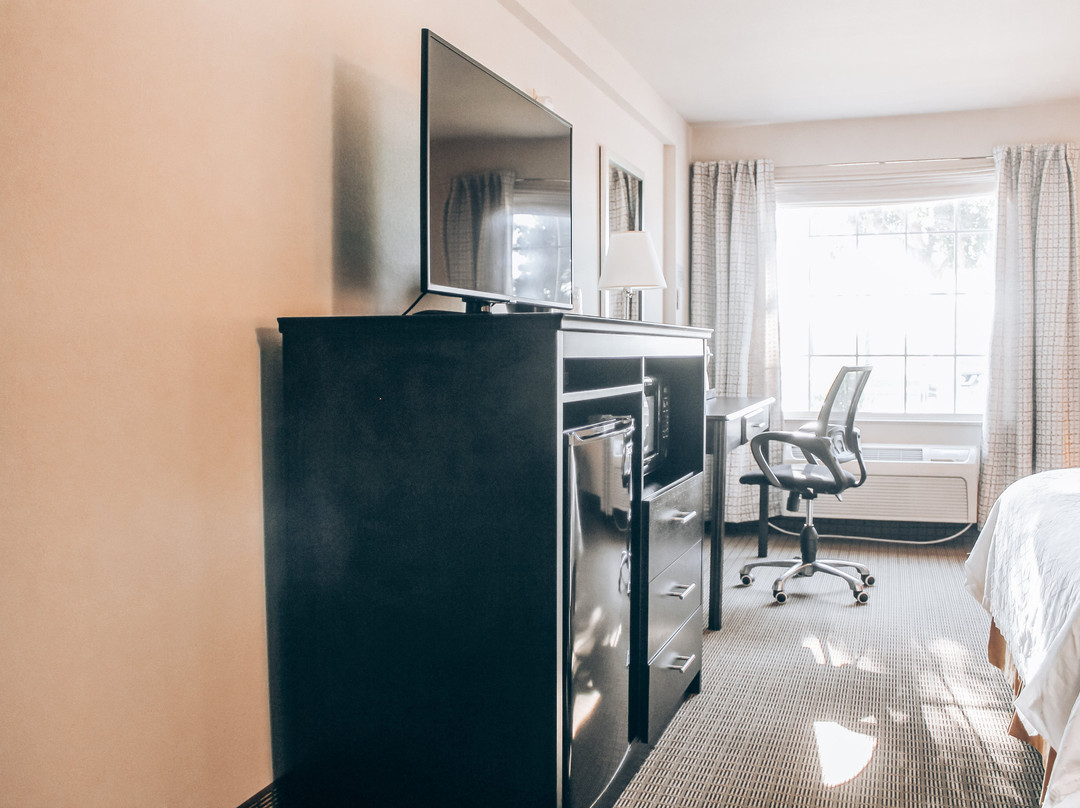 Lucille's Hotel主图