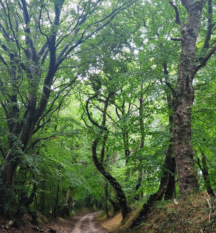 Vallée des Moulins景点图片