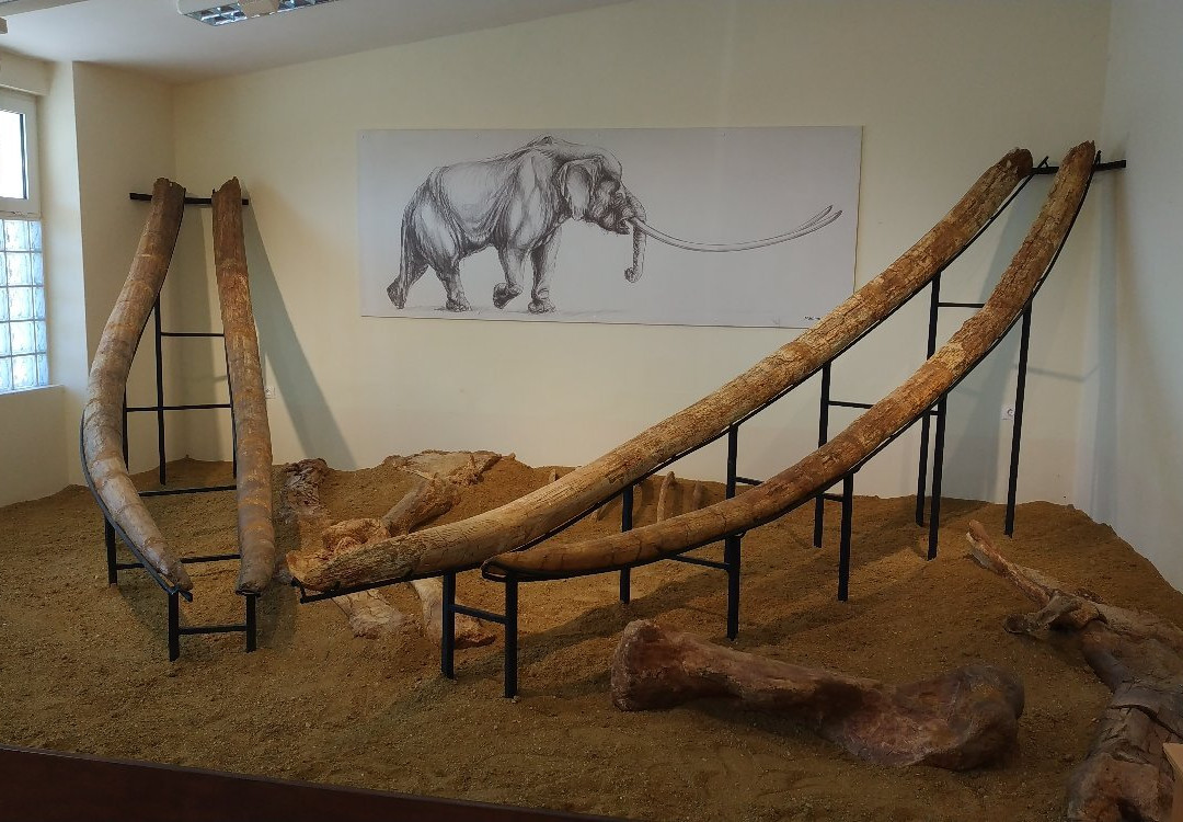 Natural History Museum of Milea景点图片