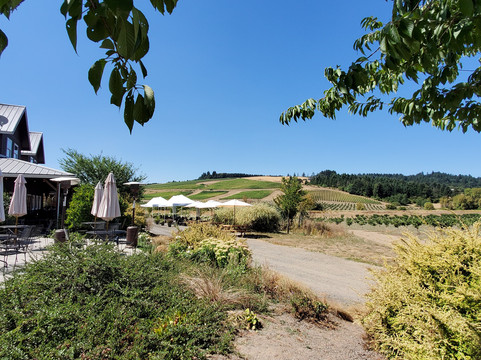 Oregon Tour Co.-波特兰必去景点