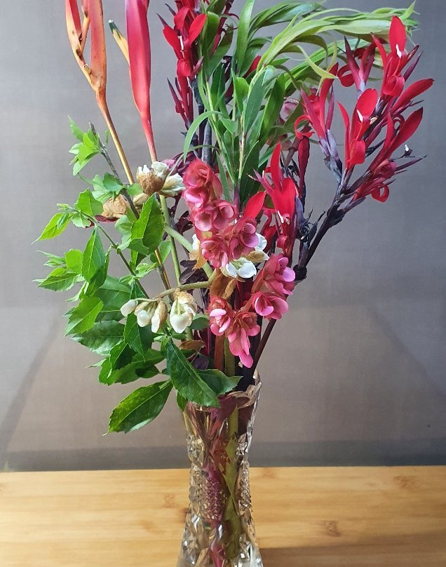 阿瑟顿假日公园主图