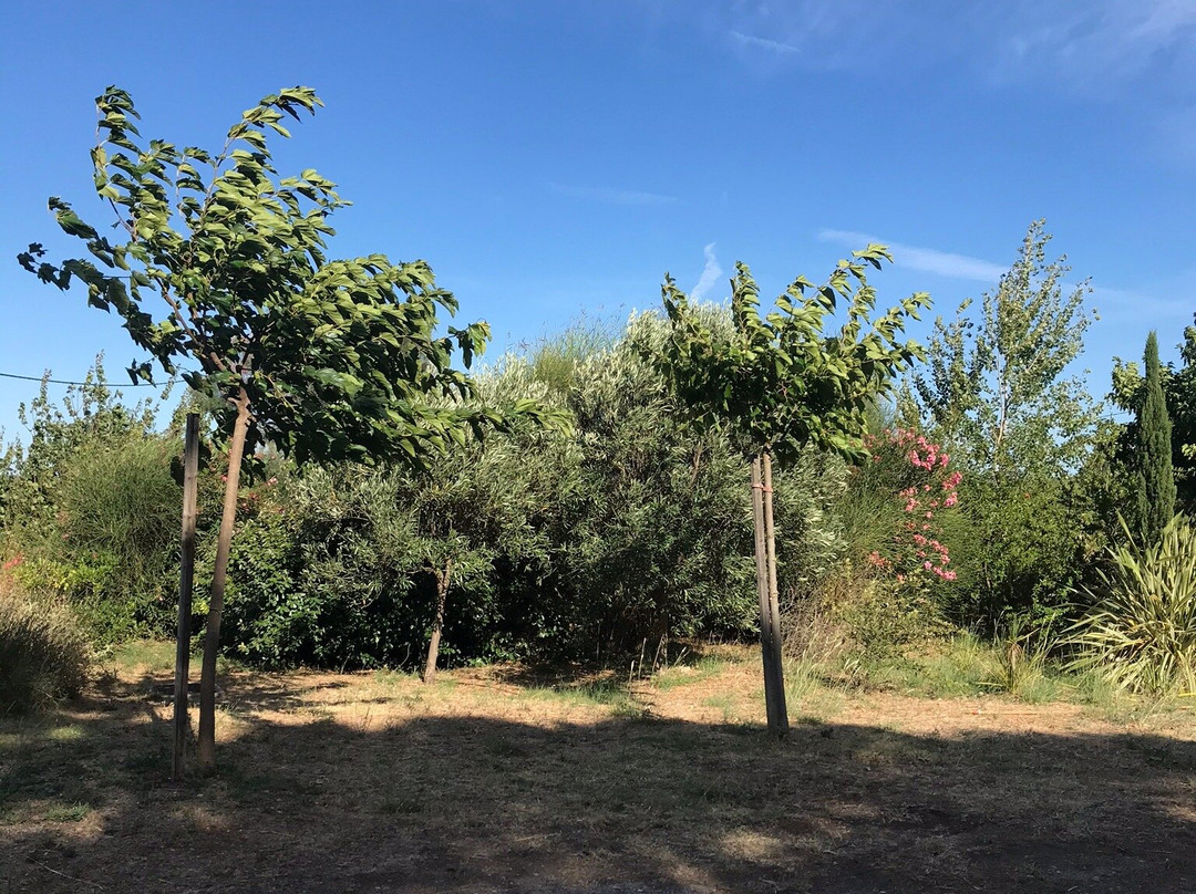 Hotellerie de Balajan主图