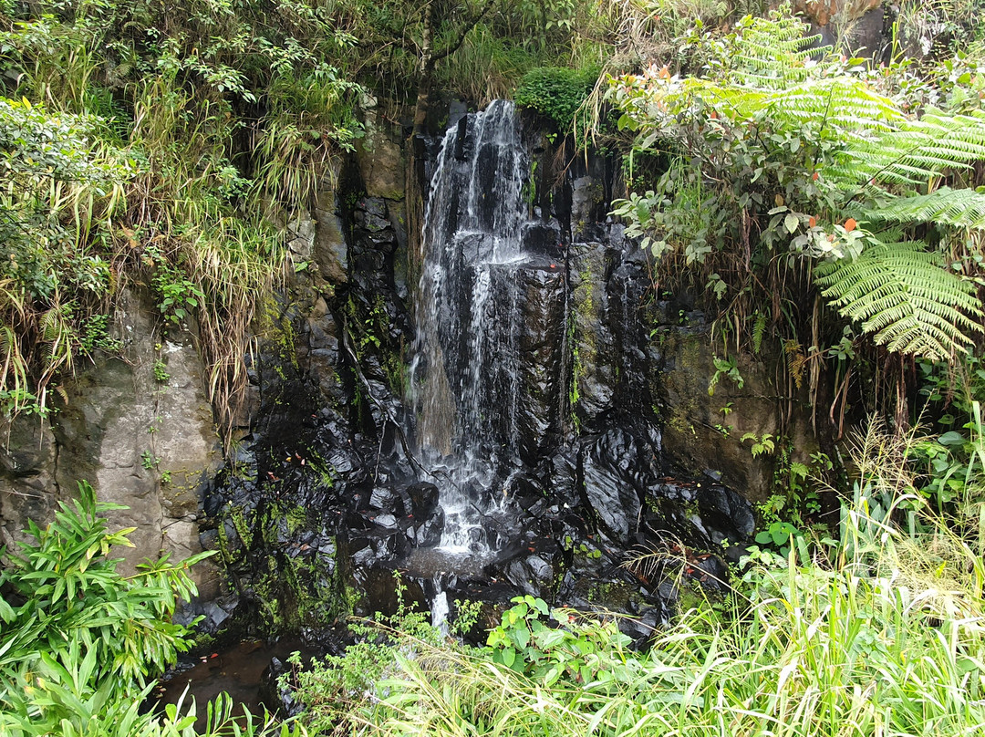 Serendipity Falls-Millaa Millaa必去景点