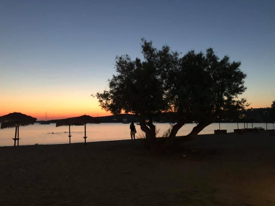 叶莱尼酒店主图