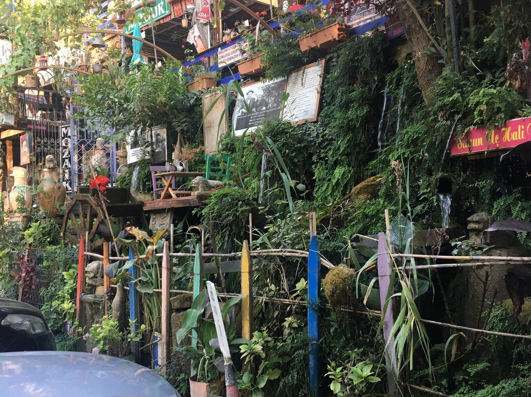 Hain der Daphne景点图片