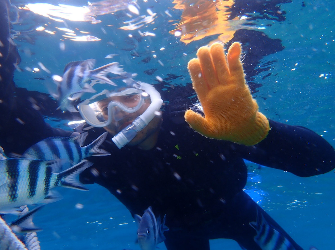 Diving Shop Natural Blue-读谷村必去景点
