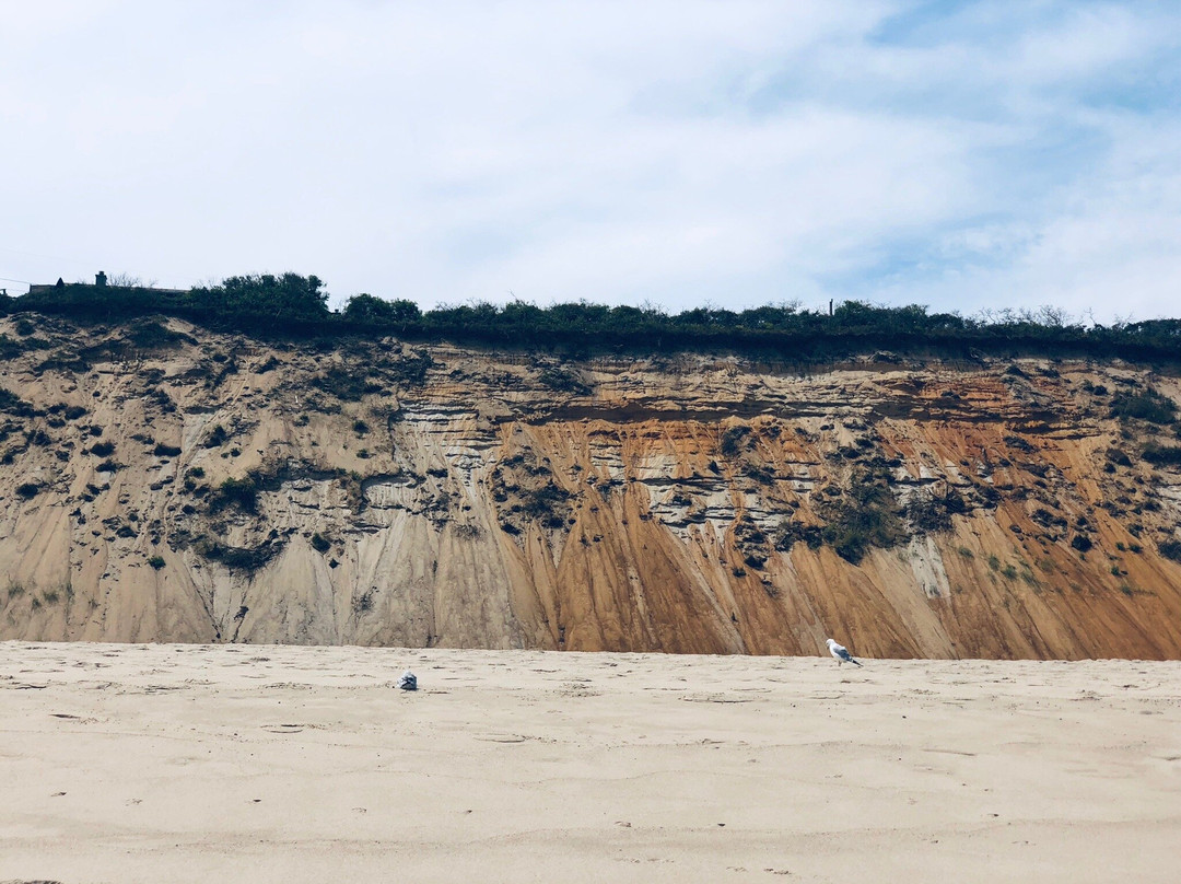 Cahoon Hollow Beach-Wellfleet必去景点