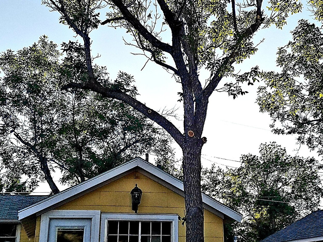 Lamplighter Cabins & Suites主图