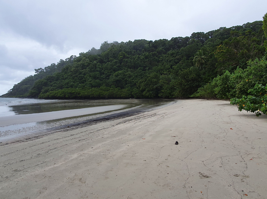 Cape Tribulation Beach景点图片