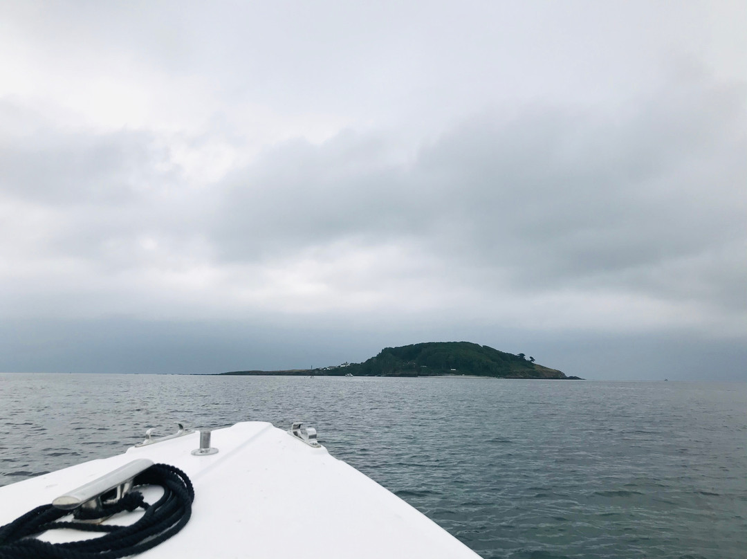 Looe Island-卢城必去景点