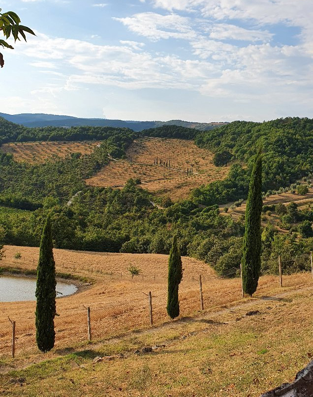 Agriturismo Selvella主图