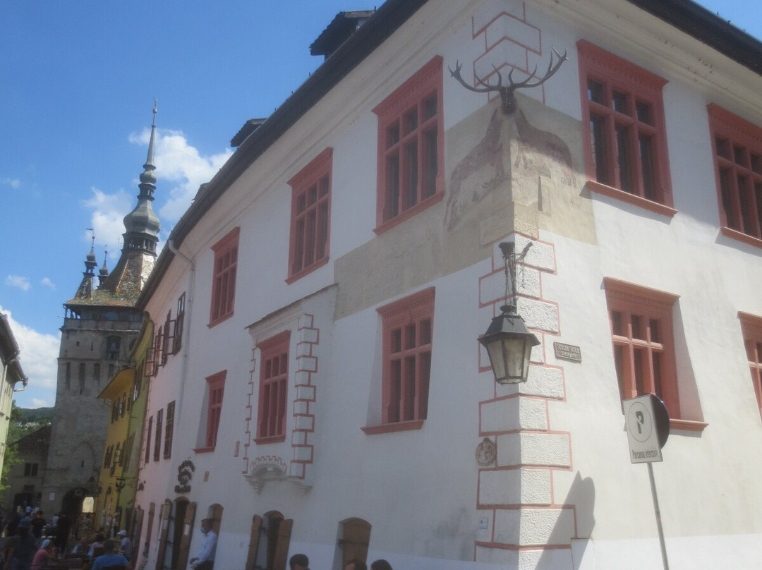 锡吉什瓦拉酒店主图