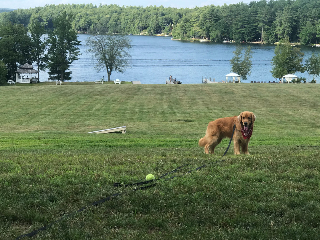 Crescent Lake Inn & Suites主图