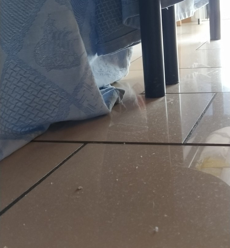 Amadei Hotel Figaro & Apartments主图