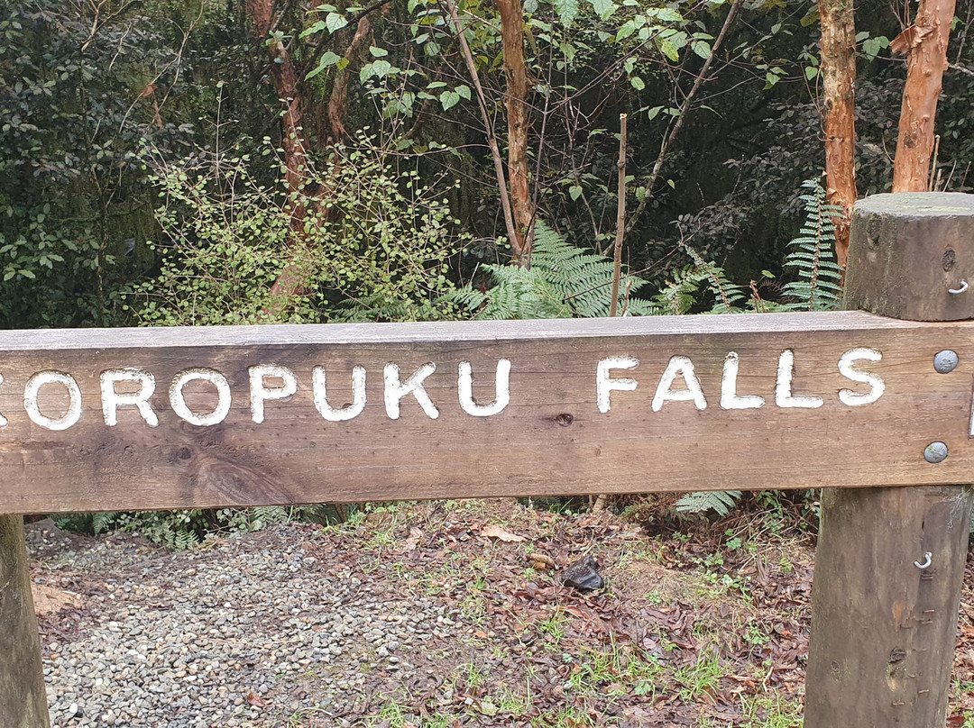 Koropuku Falls景点图片
