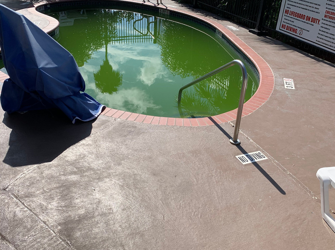 Baymont by Wyndham Clute/Lake Jackson主图