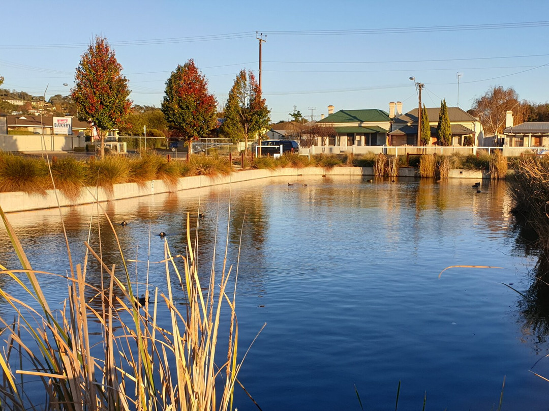 The Railway Lands-芒特甘比尔必去景点