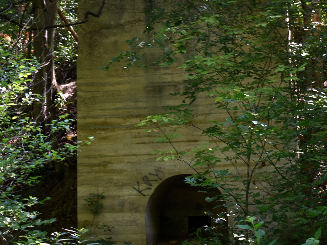 Falls Ridge Preserve-Elliston必去景点