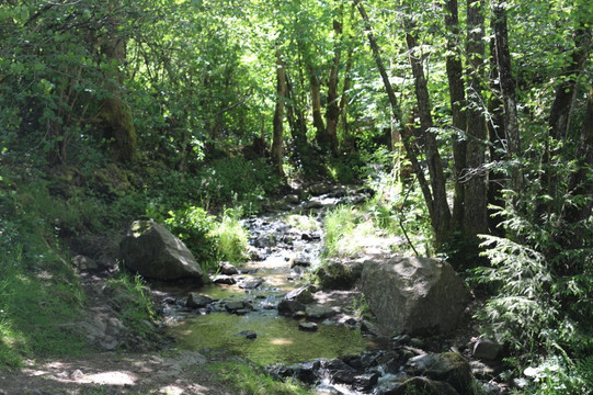 Confluence de la Cure et du Caillot-Gouloux必去景点
